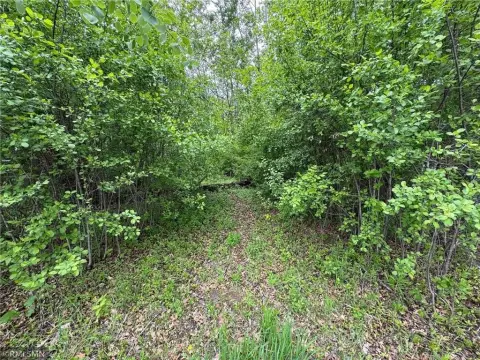 Wooded Lot in Private Setting
