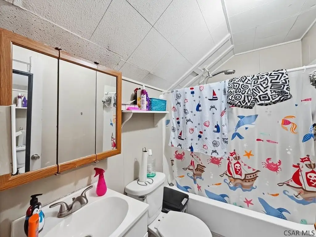 Picture 43