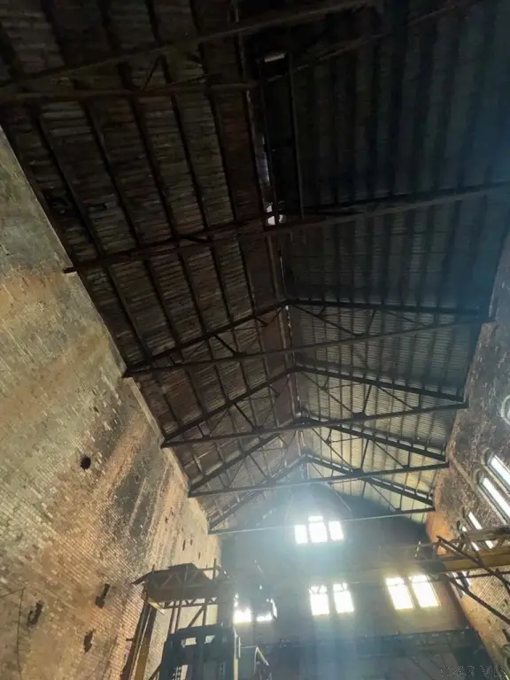 Picture 10