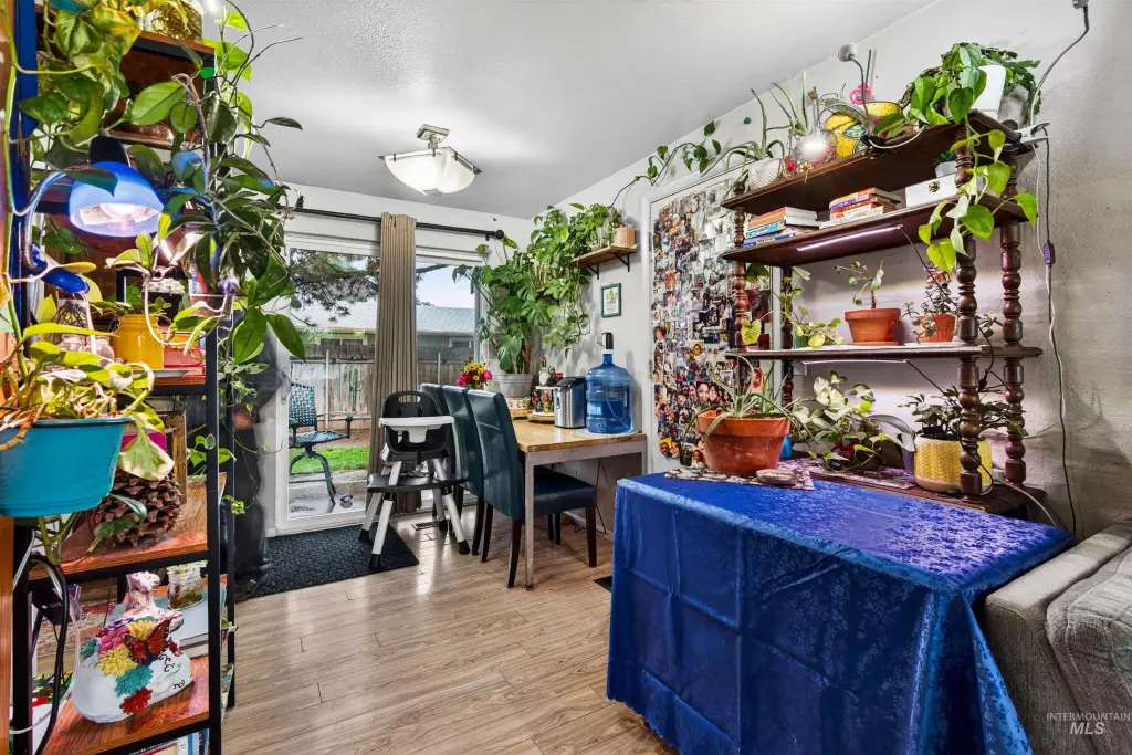 Picture 27