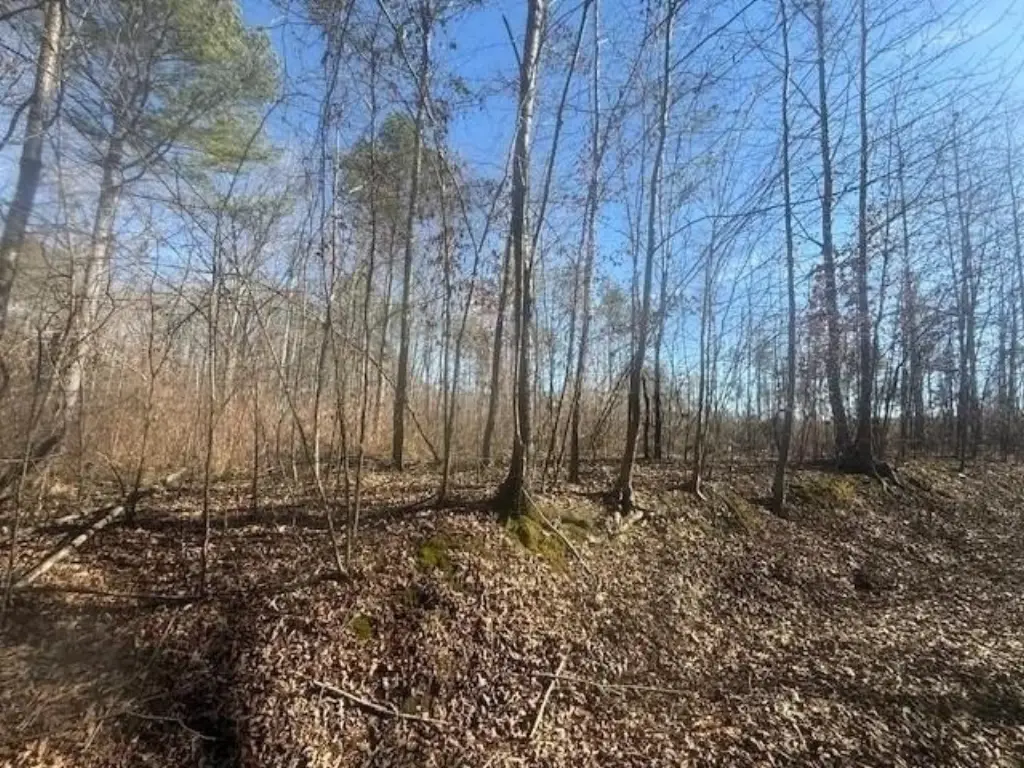 Picture 10