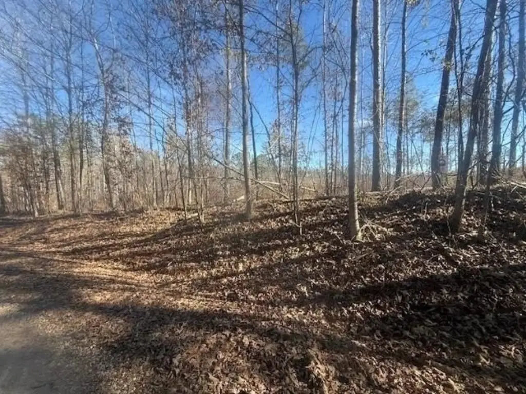 Picture 19