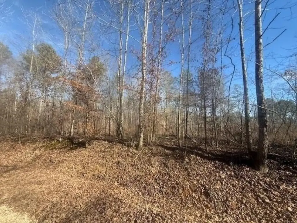Picture 12