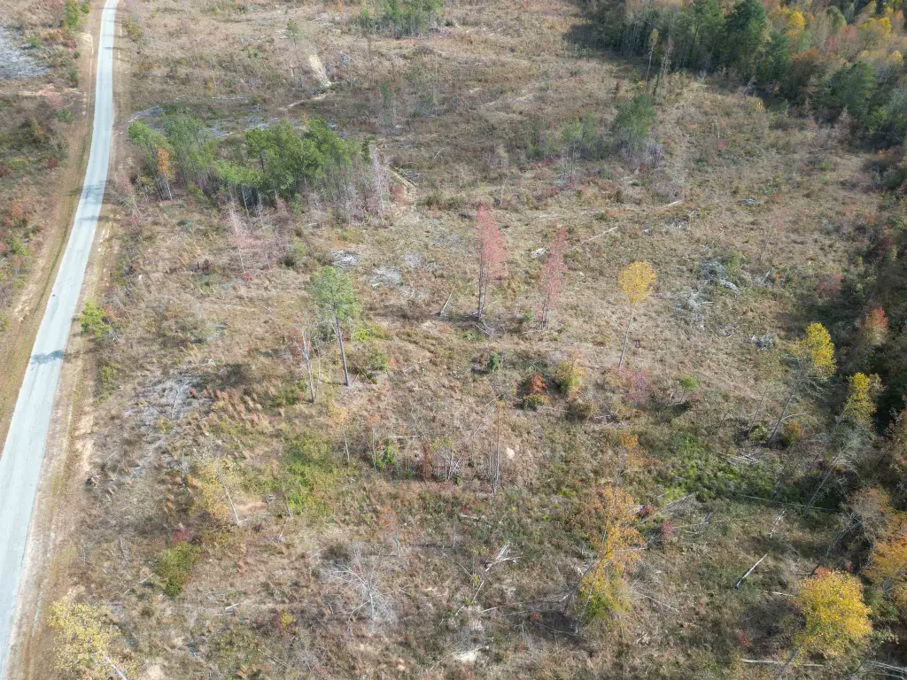 Picture 3