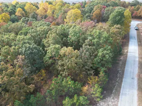 Wooded Commercial Land