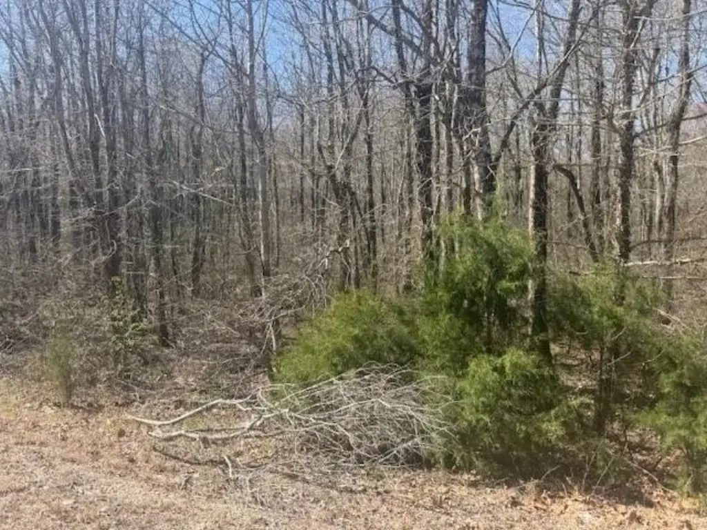 Picture 19