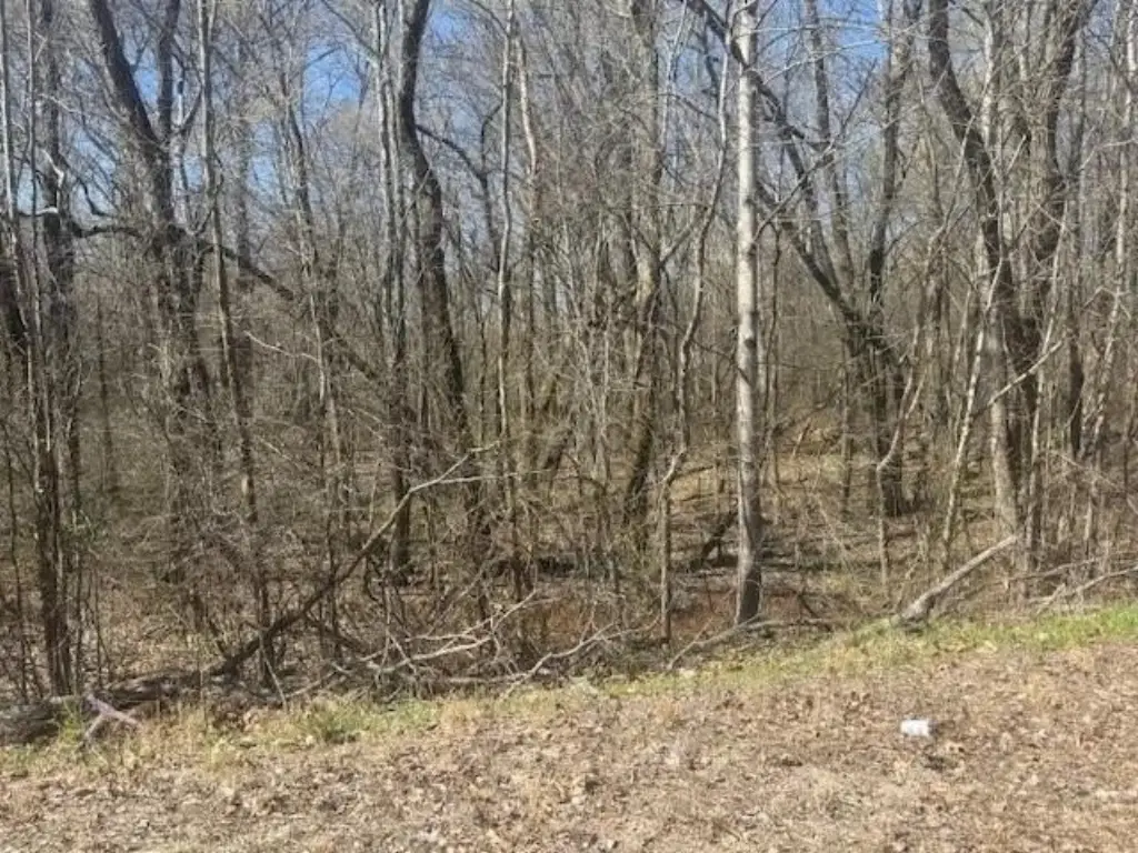 Picture 26