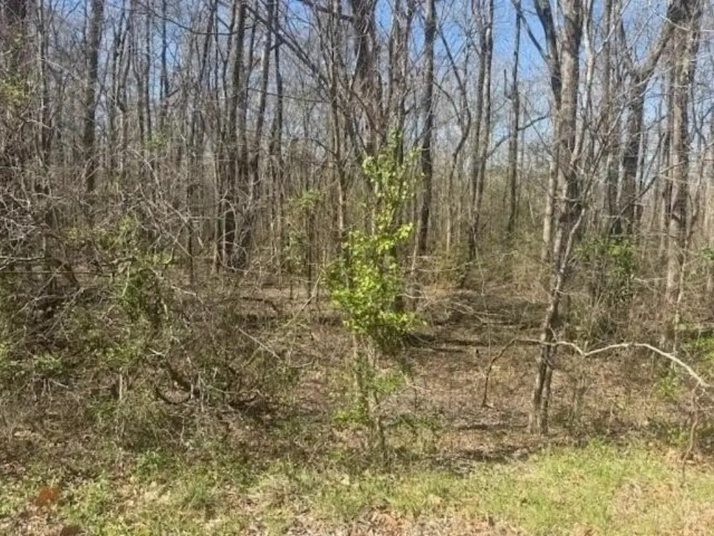 Picture 10