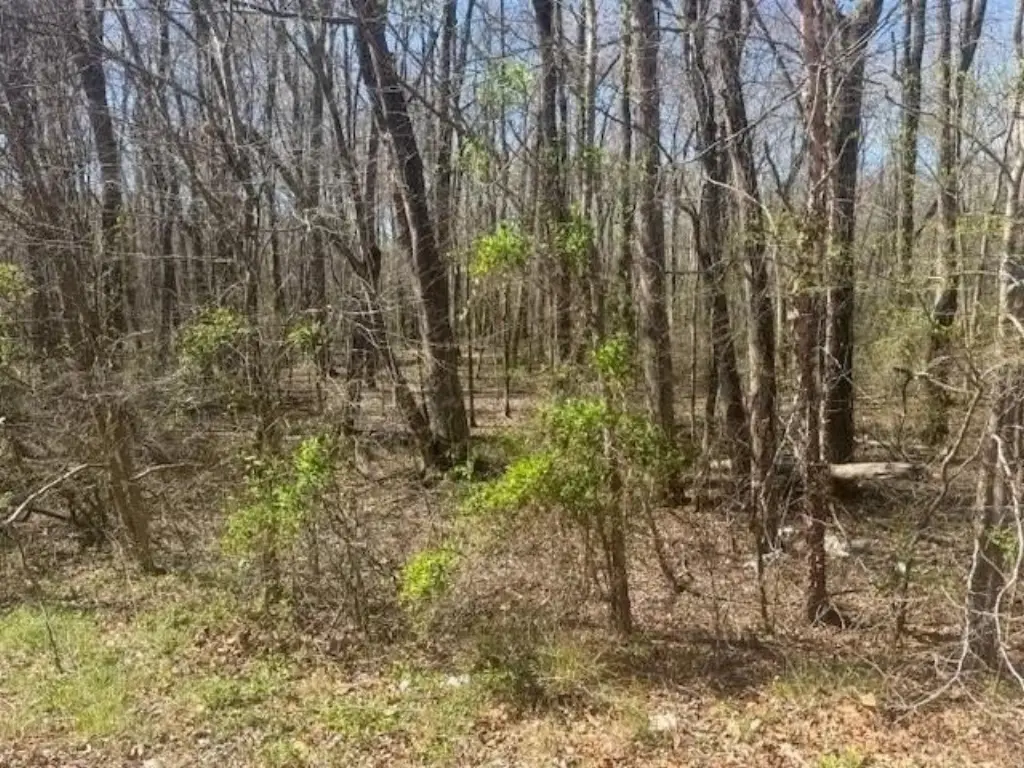 Picture 20