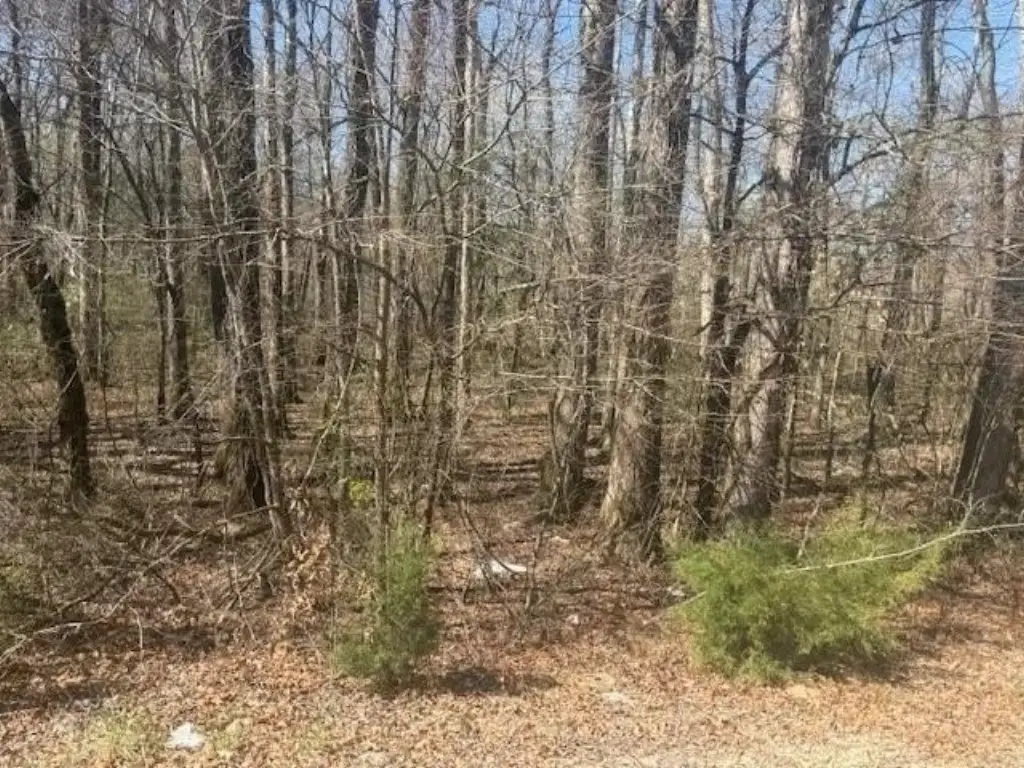 Picture 25
