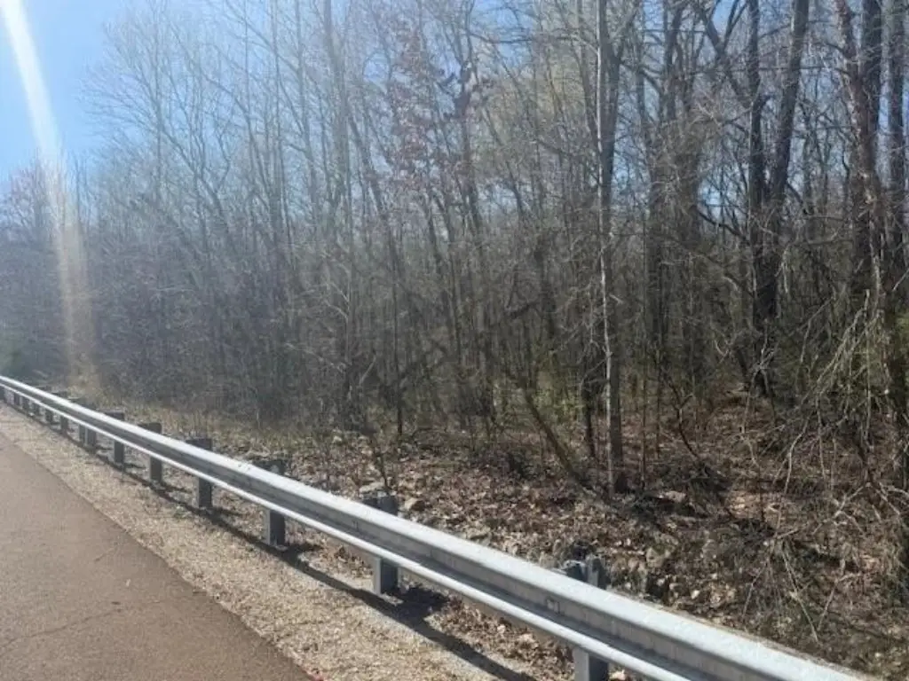 Picture 17