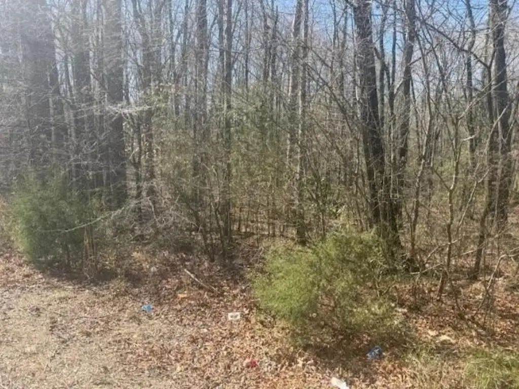 Picture 18
