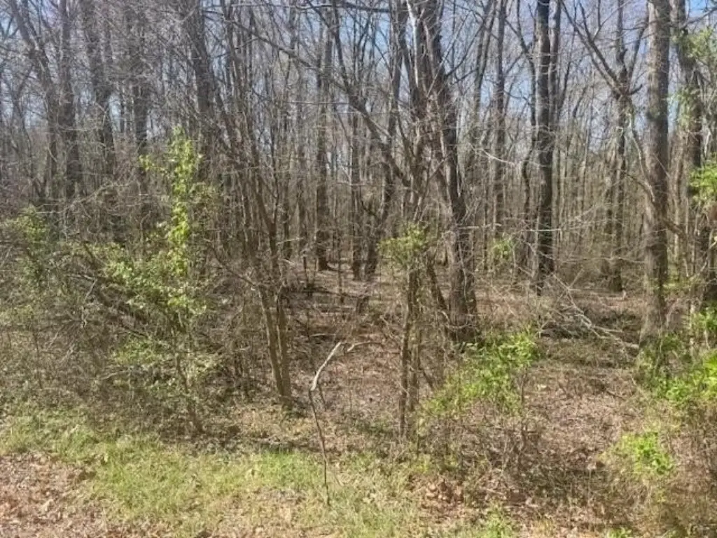 Picture 9