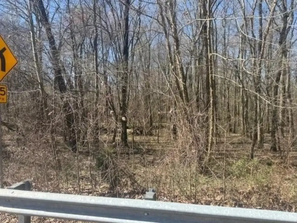 Picture 15