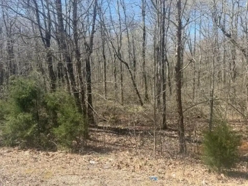 Picture 8