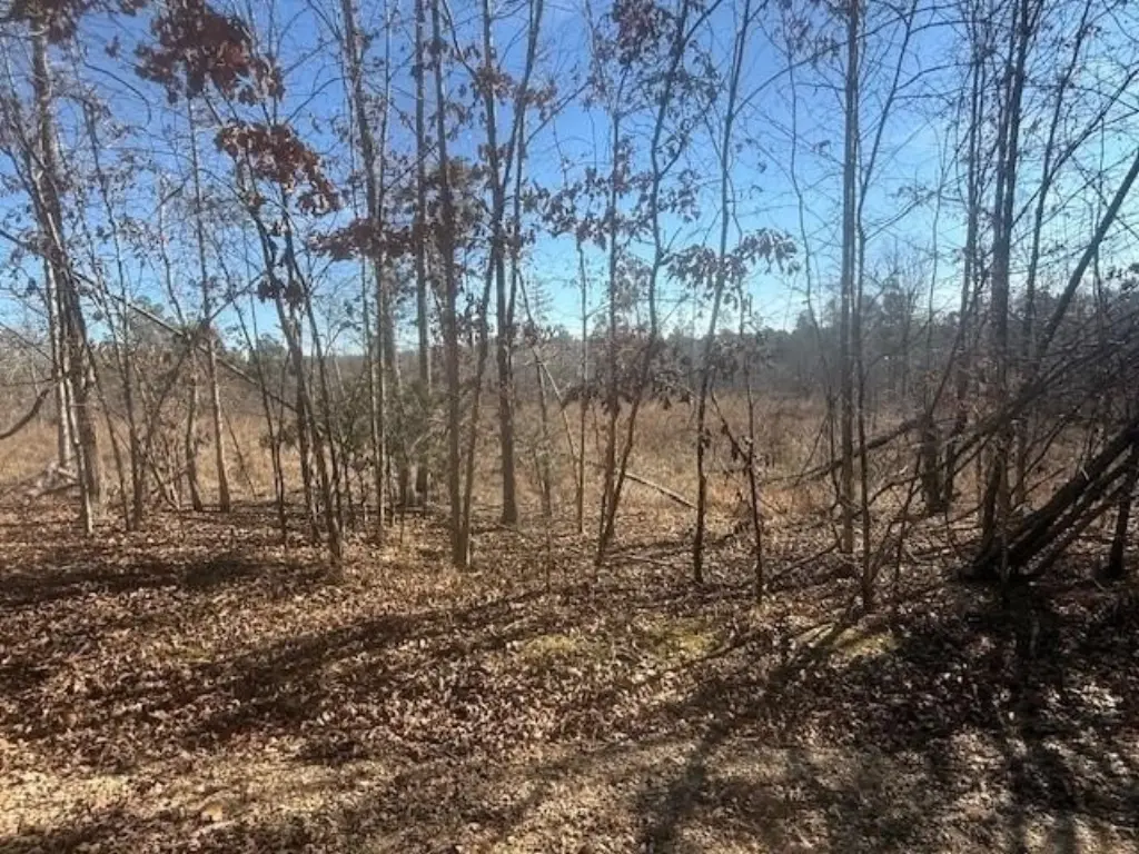 Picture 16