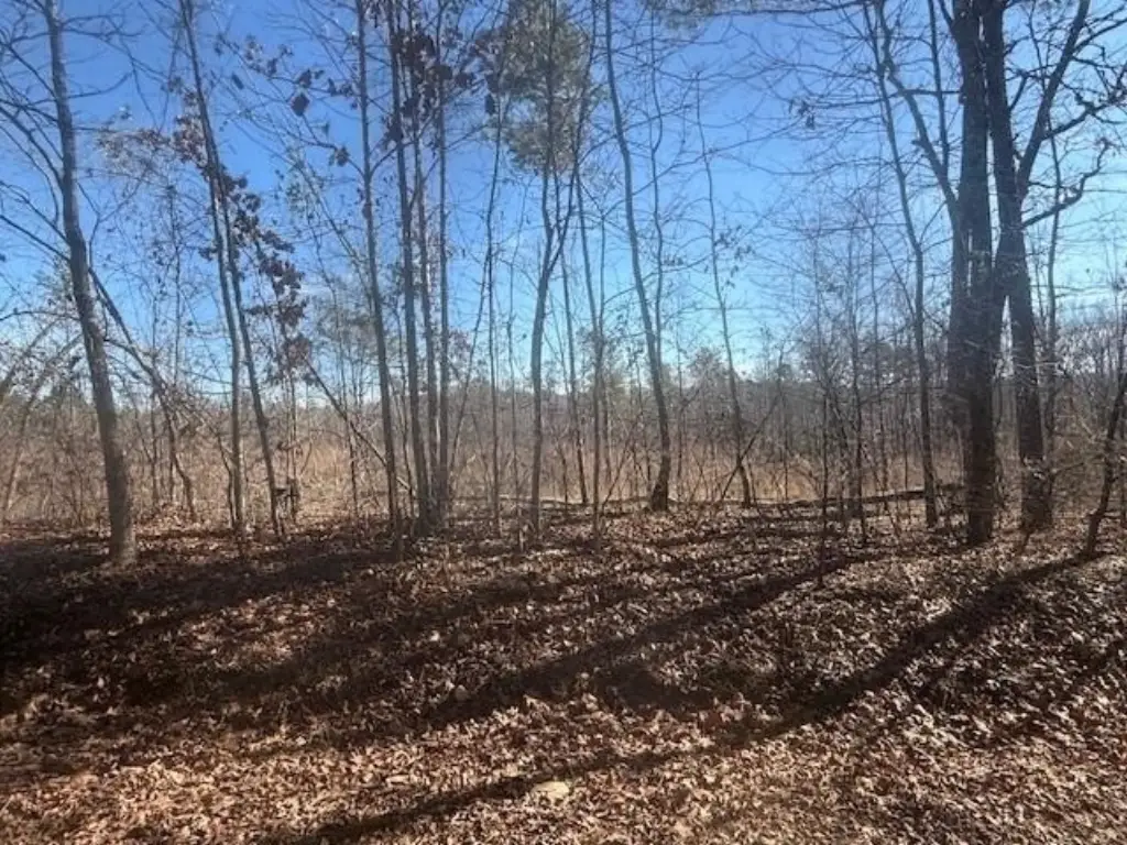 Picture 21