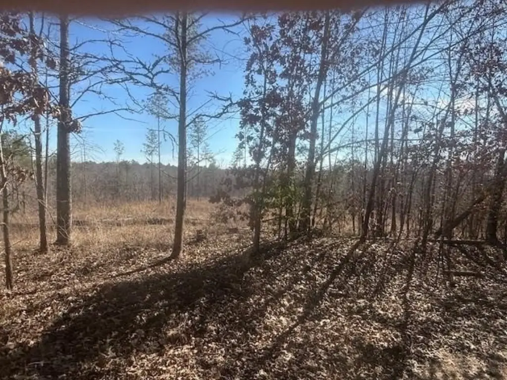 Picture 13