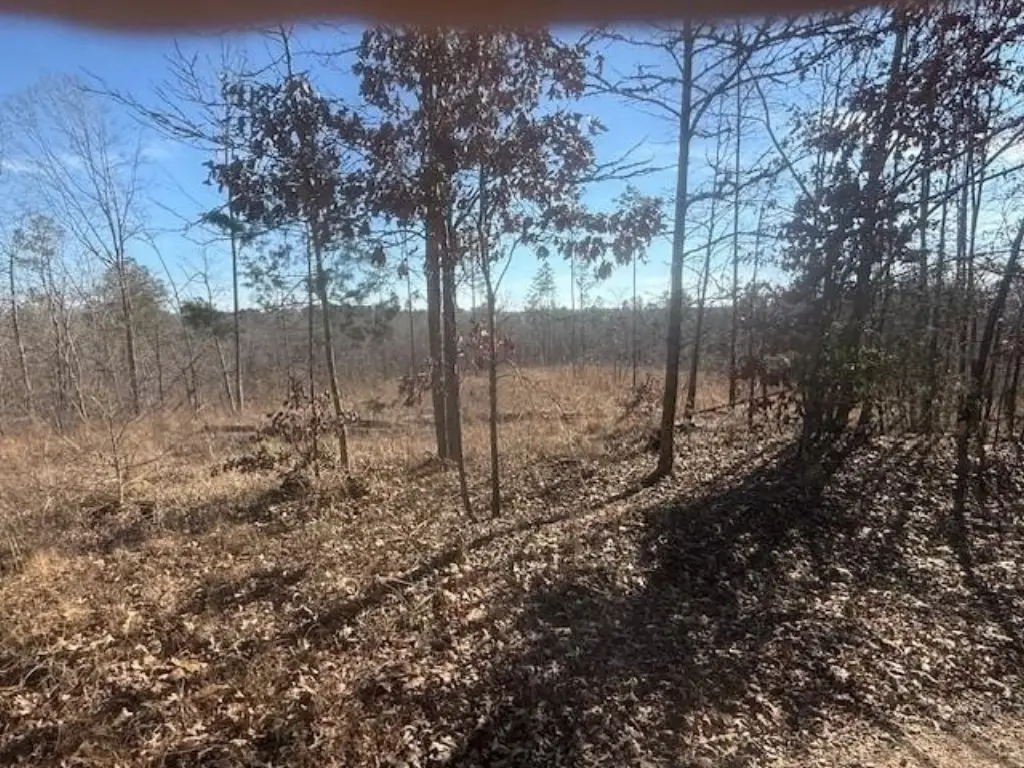 Picture 12