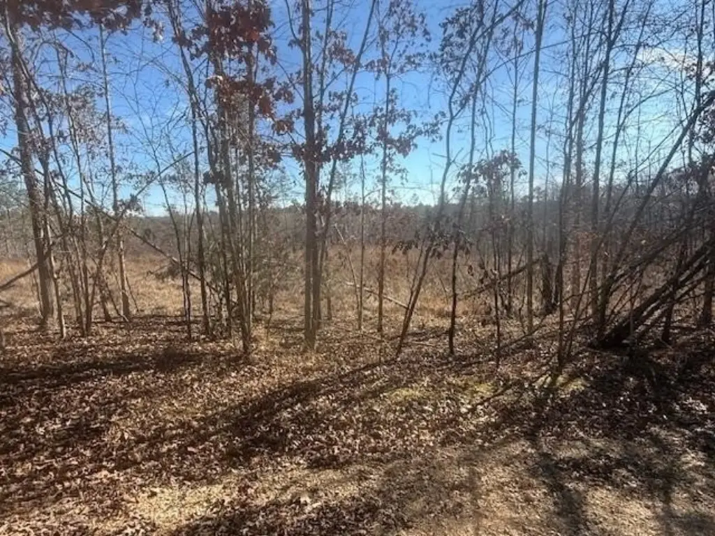 Picture 15