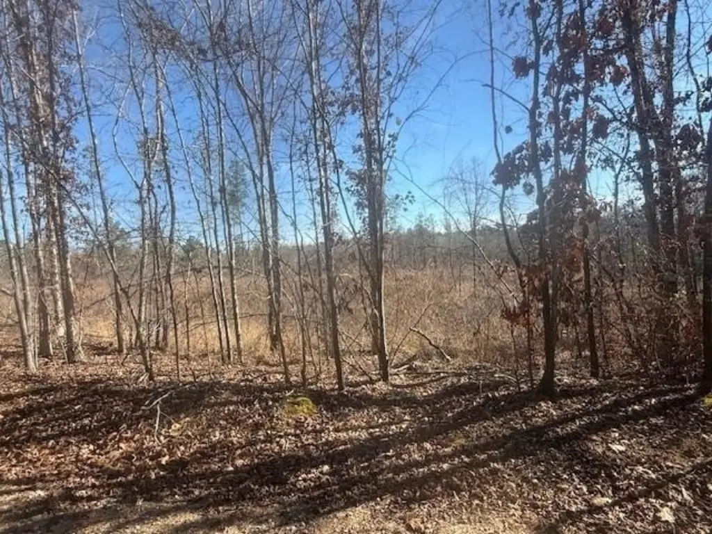 Picture 19
