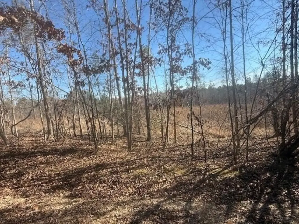 Picture 17