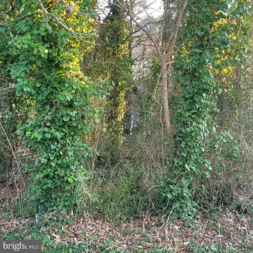 Lusby Land Near Waterfront