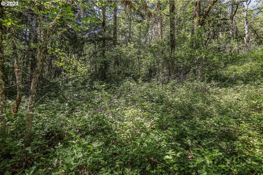 Picture 21
