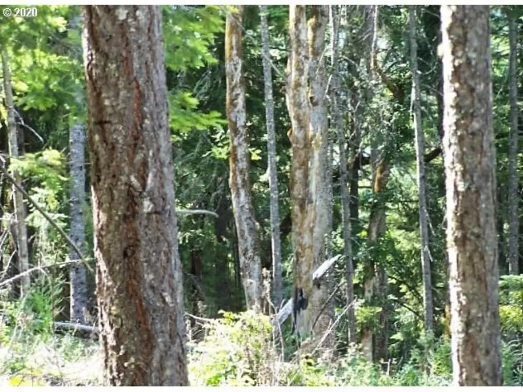 Picture 15