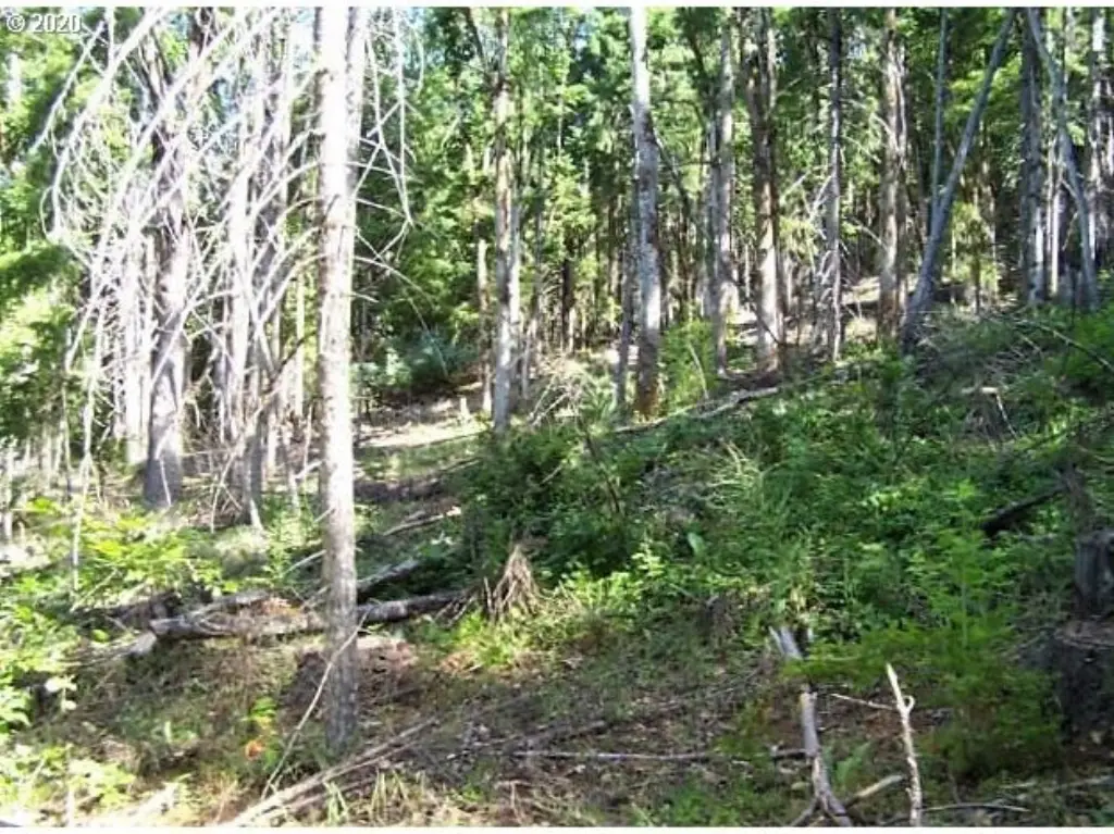 Picture 16