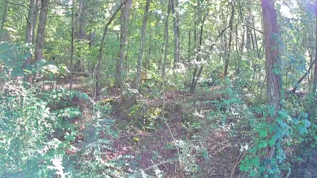 Picture 18