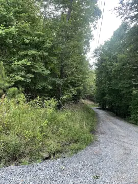 Secluded Lot with Eastern Views