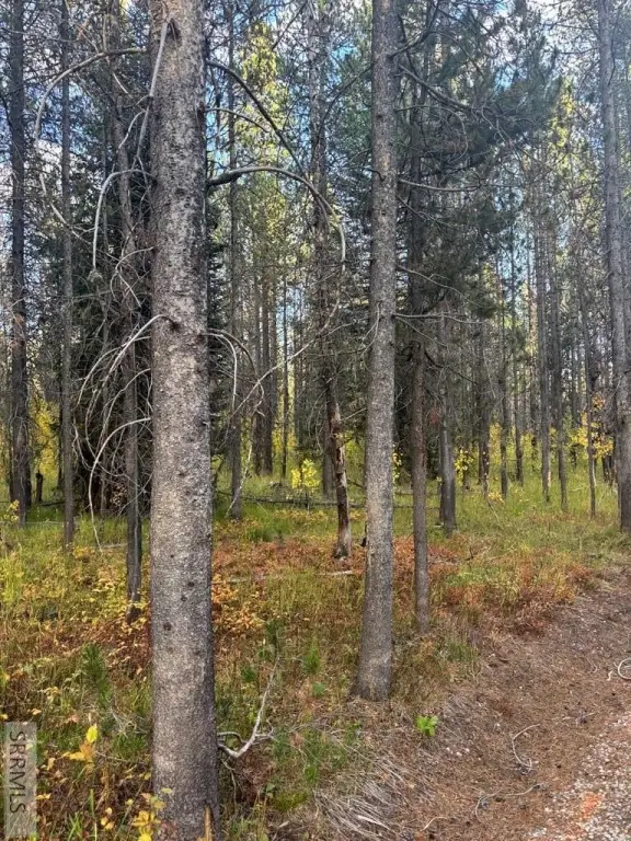 Picture 5