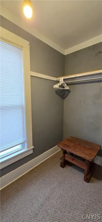 Picture 24