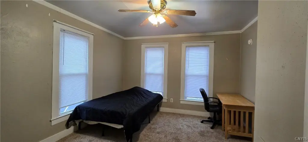 Picture 23