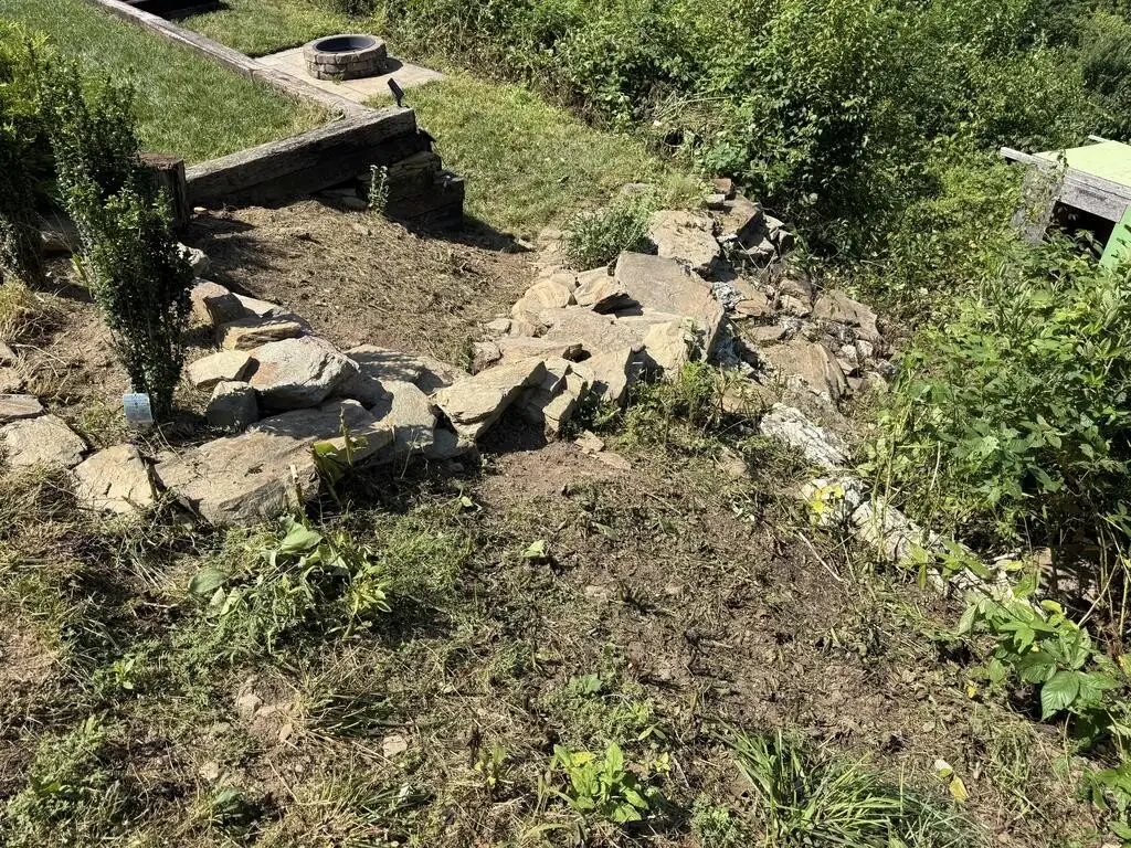 Picture 27