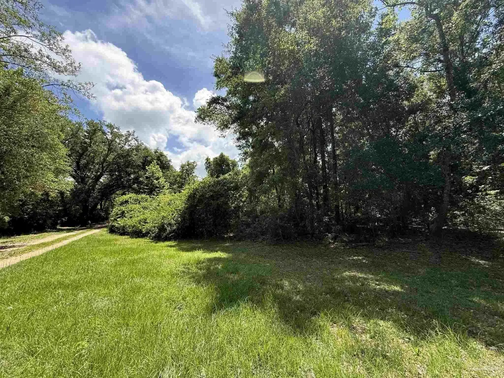 Picture 9
