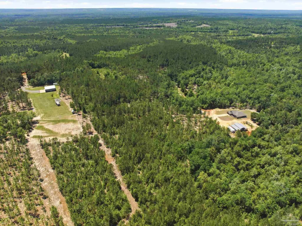 Picture 10