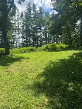 Mountain Land with Views