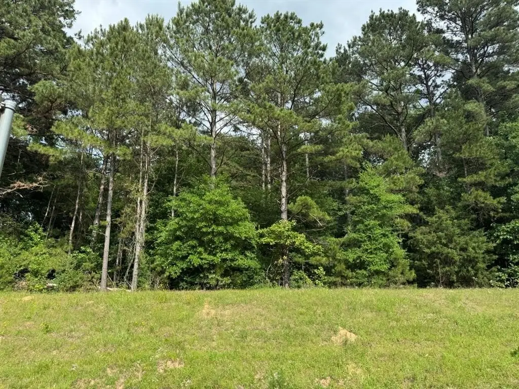 Picture 15