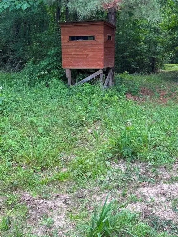 Picture 2