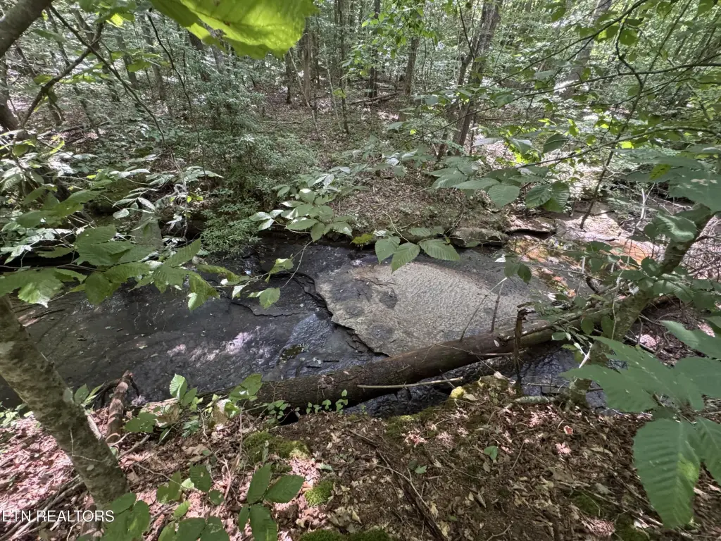 Picture 25