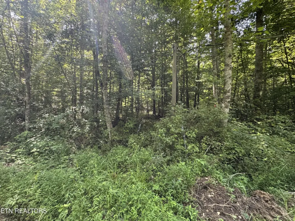 Picture 19
