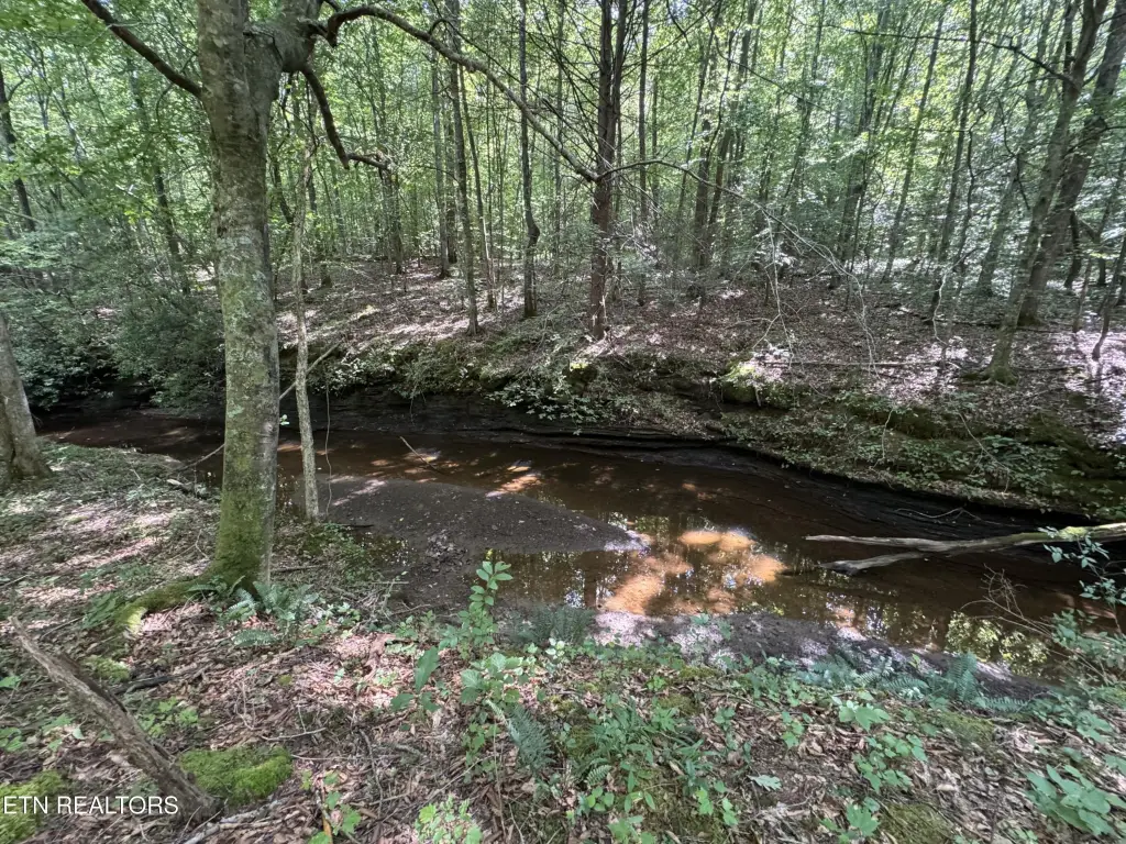 Picture 23