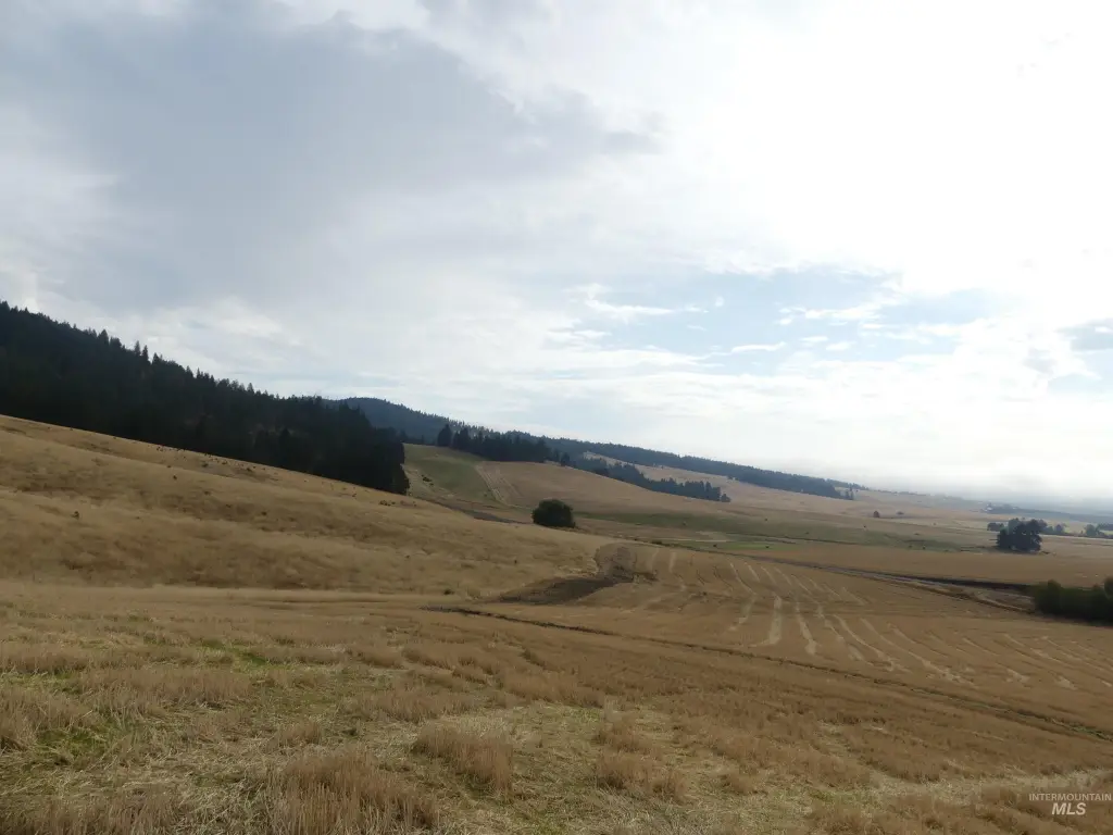 Picture 37