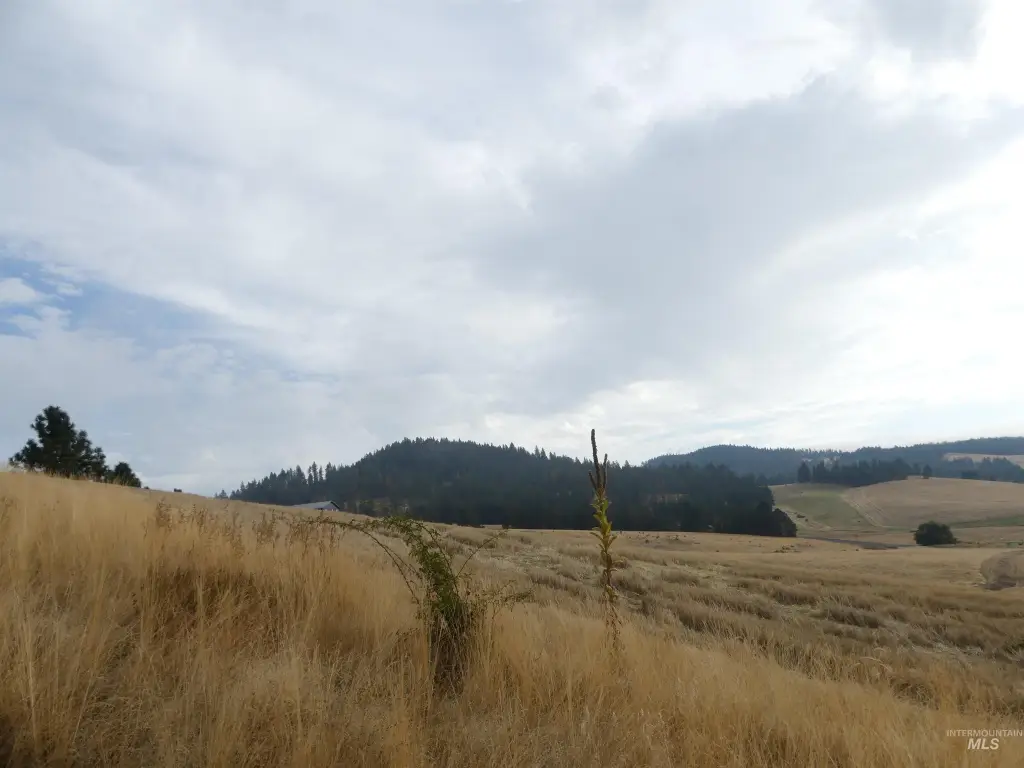 Picture 29