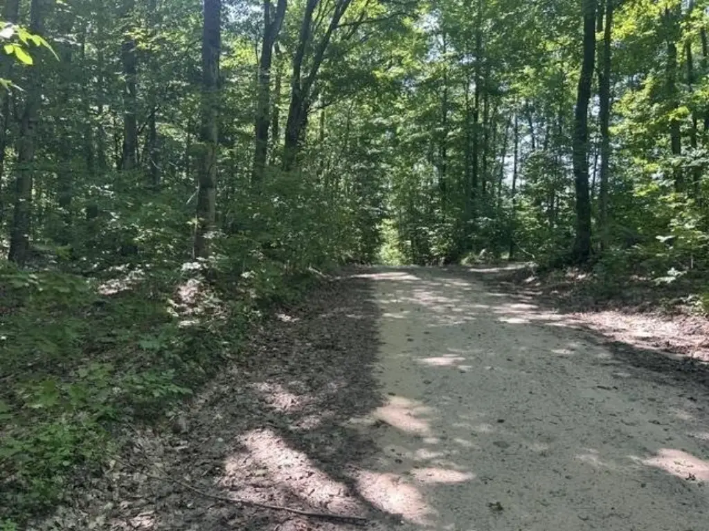 Picture 5