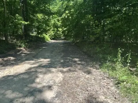 Wooded Recreational Land