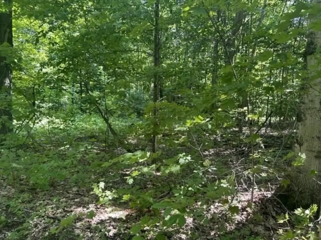 Picture 8