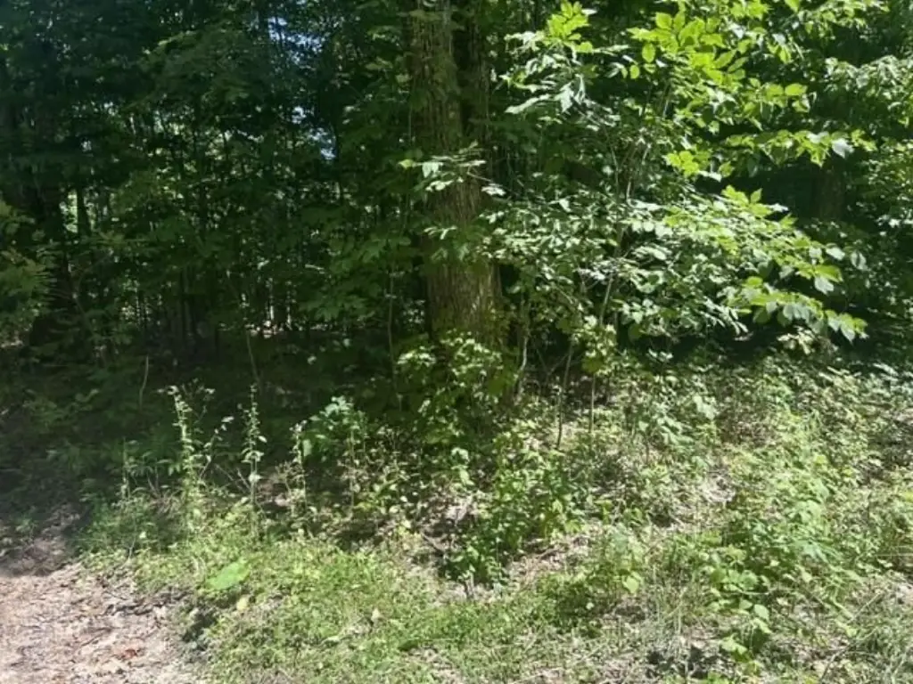 Picture 2